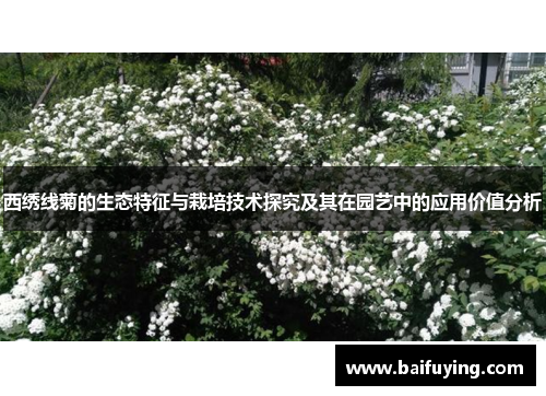 西绣线菊的生态特征与栽培技术探究及其在园艺中的应用价值分析